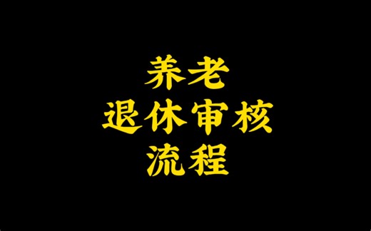 养老退休审核流程