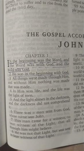 John:- 1:1-2 | Daily Bible Reading | Daily Bible Verses | 🙏🏻😇🙌🏻🌟📖👼 #shorts #viral #trending #bible