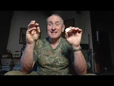 Comment déterminer la fraîcheur des oeufs ? 🐔🐣🪺