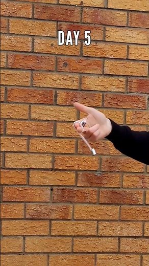 Learning the Begleri in 7 Days