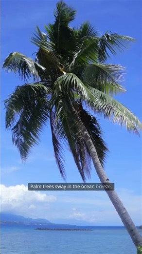 Miami Beach Paradise | Ocean Waves & Sunshine Vibes