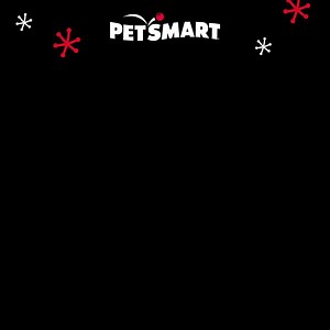 164 reactions · 31 shares | Psst! Take an early peek at Black Friday for our best deals on pet essentials! | PetSmart | Facebook