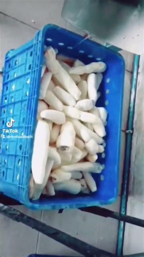 mesin pencuci singkong otomatis