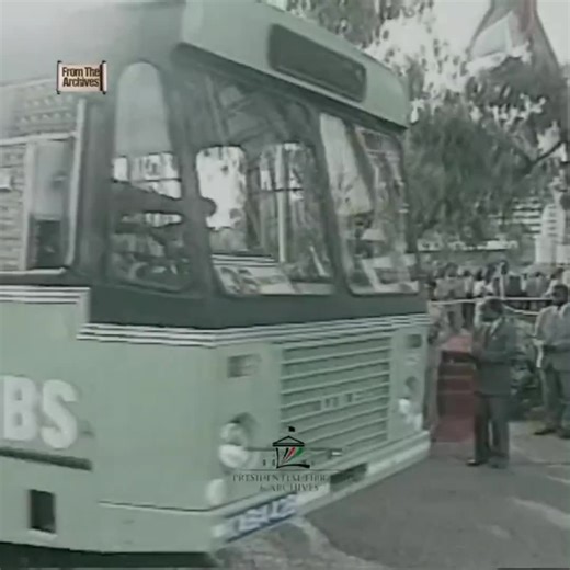 Anami (@anamidavid)’s videos with original sound - Anami