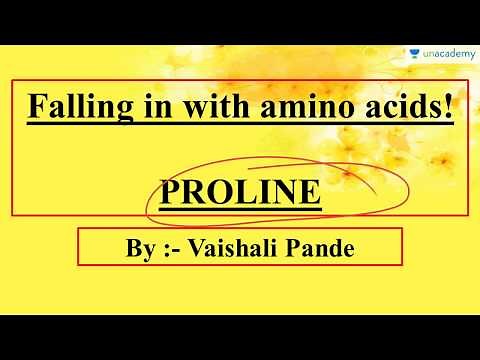 Amino Acids - Proline