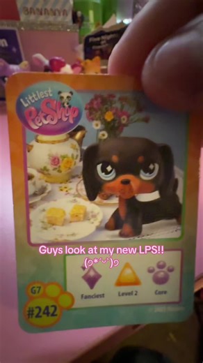 Discover My Adorable New LPS Collection!