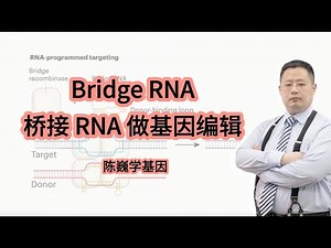 【陈巍学基因】 131: Bridge RNA 做基因编辑