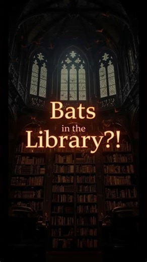 The Library with Bats as Book Protectors!
