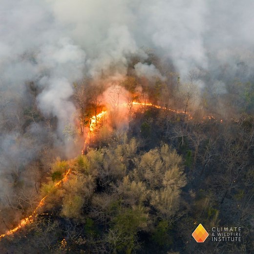 FireLines: A Network Mapping Platform for Wildfire Resilience | Climate & Wildfire Institute posted on the topic | LinkedIn