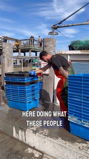 56K views · 829 reactions | Captain Sam Linnell of FV Great Pumpkin shares his perspective on fishing Cape Cod waters. ⚓️ | Cape Cod Commercial Fishermen's Alliance | Facebook