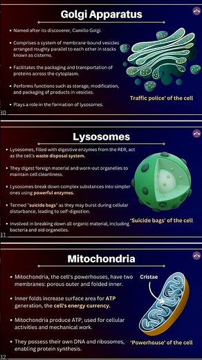 Chapter Sound Notes Class 9th NCERT book pdf #physics #ncert #science