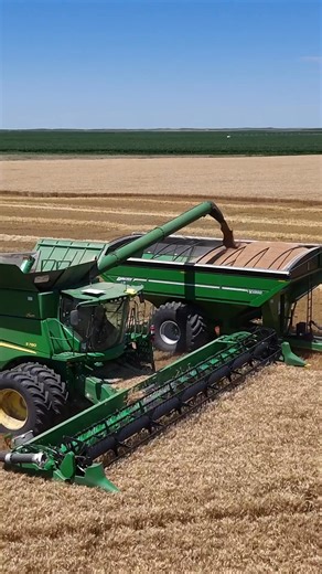 2.1M views · 30K reactions | Wheat Harvest at Roth Farms - Sterling, Colorado  Troy Randall - Lead Technology Specialist #21stCenturyEquipment #Wheat #Harvest #Colorado #JohnDeere | 21st Century Equipment | Facebook