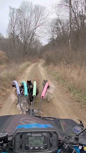 Adventuring through the back country roads in the Maryland Mountains yesterday! #DogRoading | WooFDriver