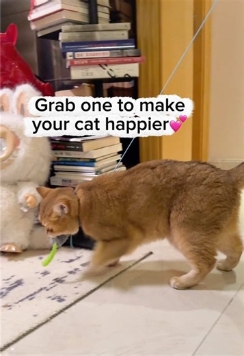 Simba's Joyful Moments with His New Toy