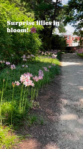 Allerton is all about the unexpected. Visit soon! | Allerton Park and Retreat Center