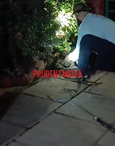 10K views · 77 reactions | PYTHON RESCUED AT TALEIGAO | Prudent Media | Facebook