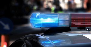 Youth arrested for punching dog that was later found beaten and stabbed to death