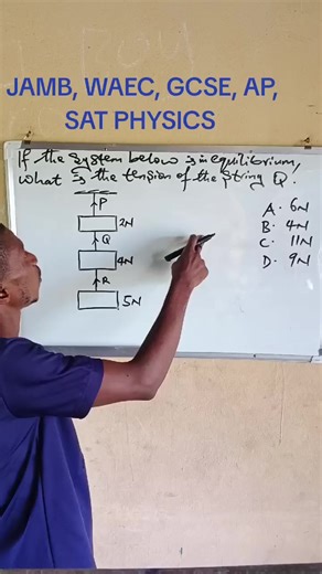 Understanding Tension in a Chain of Weights