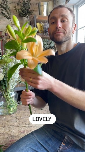 33K views · 140 reactions | A nifty flower hack for removing pollen from your lilies ! Don’t forget - if you do get pollen on your clothes you can use sellotape to kinda dab it off | Freddie's Flowers | Facebook