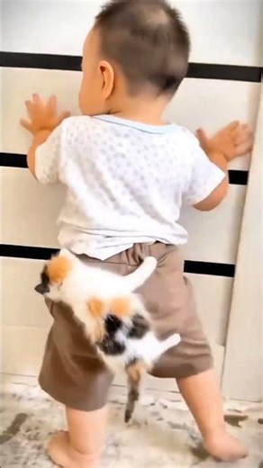 Top Funniest😆 Random clips #funny