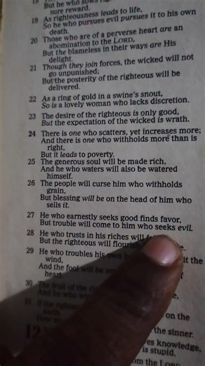 Proverbs 11:27. Bible Reading And Meditation