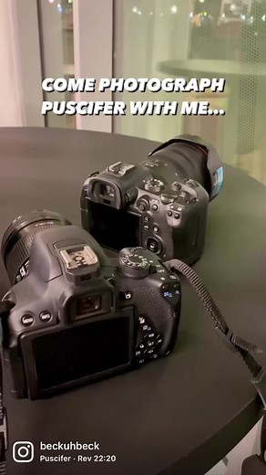 Puscifer Live Performance Highlights