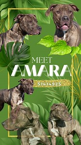 14 reactions · 21 shares | With markings like this, how can you not...