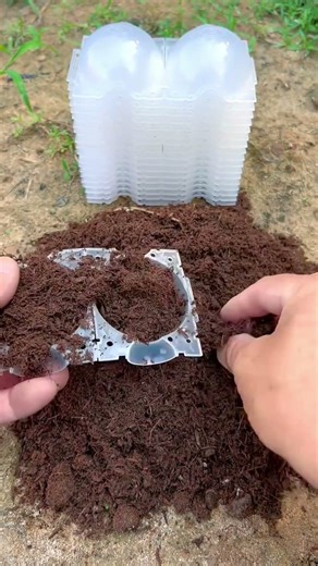 How to Clone Your Favorite Trees Fast! 🌳✨