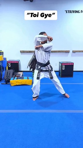 “Toi Gye hyung” the way my teacher learned it in 1966 before “sine wave” and it’s modernization 😎🥋 #explore #taekwondo #taekwondotraining #kickboxing #mma #viralreels #rp | Ibrahim Moreland