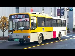 파주 CJ ENM 콘텐츠월드에서 만나다! 현대 에어로시티540 L 1996년식, 추억의 서울시내버스 구경하기