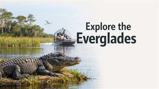7 incredible things to see at Everglades National Park
