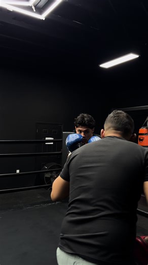 Smooth day #spendthedaywithme #frenchiepuppies #boxer | Frenchie