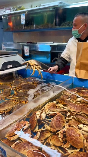 Fresh Live Crabs for Sale in Flushing Queens Supermarket