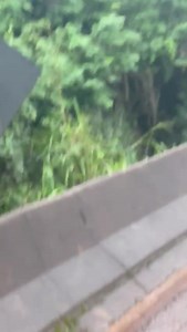 291K views · 393 reactions | #RioManso: Vídeo flagra caminhão sem...