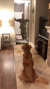 I don't think the #WhatTheFluffChallenge can get any more heartwarming than this ❤️❤️❤️ Via ViralHog | theCHIVE