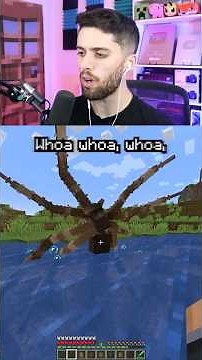 new spiders in minecraft