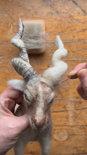 It still fascinates me how small amounts of wool fibres can create shadow and depth. Each layer somehow brings the piece to life. Working with wool and wax is a favourite when making hooves and horns. I’ve still got someway to go as I try to capture this fearless and majestic animal. I have made extra Markhor Mountain Goat kits that can be released mid March if you are up for this project. If you’d like more information of how you could work with me, please email birdieandblossom01@gmail.com - t