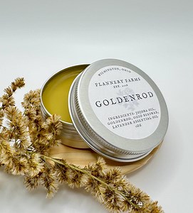 Goldenrod Healing Salve | Jojoba Oil and Beeswax Salve | Lavender Essential Oil | Herbal Remedy - Etsy