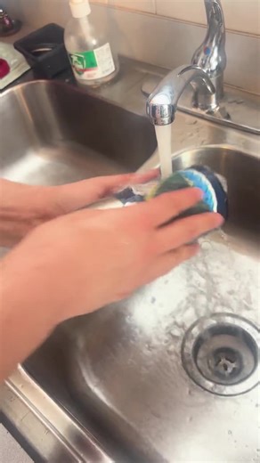 Cute, Animated Animal Sticker | Large, Animated Animal Stickers | Gifted Animal Sticker | Personality Stickers Anime | Funny Bumper Sticker - Etsy