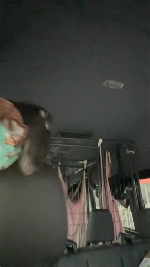 Get me outta this van before Kevin explodes 🤣 | Our Life Adventures