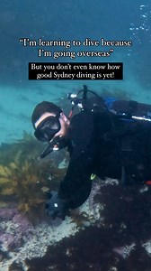 2K views · 148 reactions | “Diving is for holidays” EEEE, wrong!...