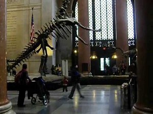 Prehistoric New York