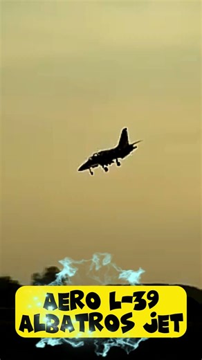 Flying the Aero L-39 Albatros Jet | Fighter Jet Cockpit, Takeoff & Landing #aviation #shorts #l39