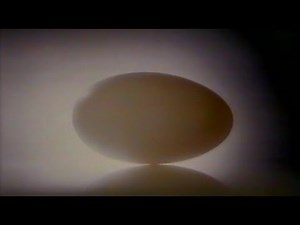 1988 TBS Commercial Break for "The Thrill of It All" [6]