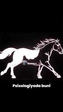 Hech narsa ham senga qarshi emas.