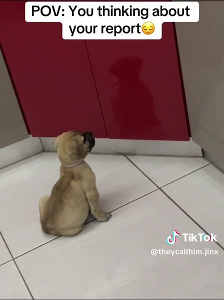 #report #yhoo😔😭