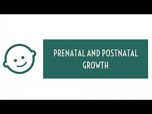 Prenatal and Postnatal Growth