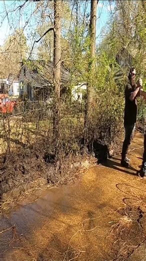 2.2K views · 63 reactions | I Was Doing This Free Powerwashing Job And You Won't Believe What I Found | Daily Tk Lawns | Facebook