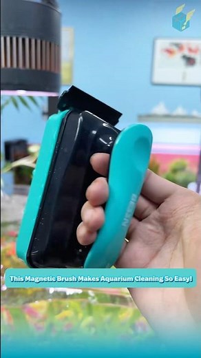 This magnetic brush makes aquarium cleaning so easy