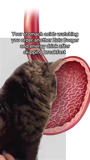 Support Your Student Journey with a Buddy System